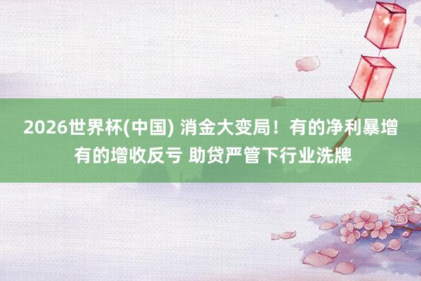 2026世界杯(中国) 消金大变局!有的净利暴增 有的增收反亏 助贷严管下行业洗牌