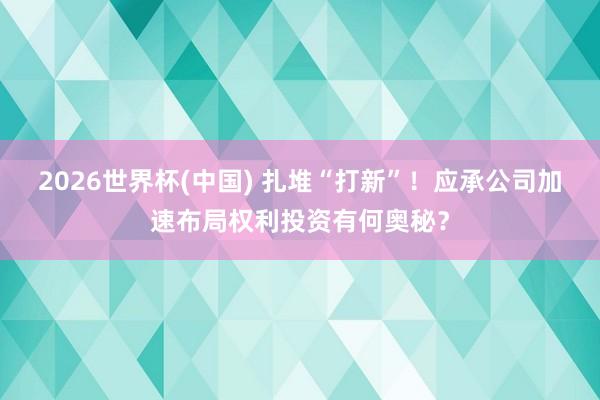 2026世界杯(中国) 扎堆“打新”!应承公司加速布局权利投资有何奥秘?