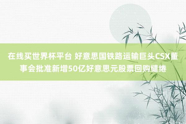 在线买世界杯平台 好意思国铁路运输巨头CSX董事会批准新增50亿好意思元股票回购缱绻