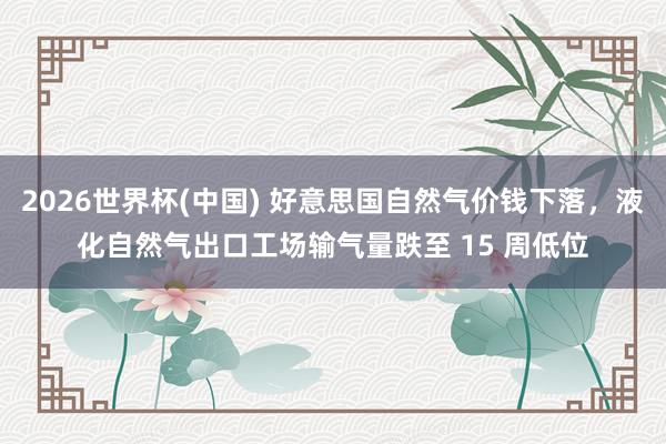 2026世界杯(中国) 好意思国自然气价钱下落,液化自然气出口工场输气量跌至 15 周低位