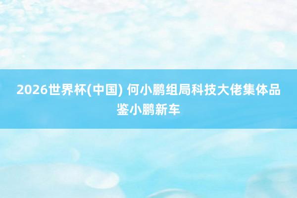 2026世界杯(中国) 何小鹏组局科技大佬集体品鉴小鹏新车