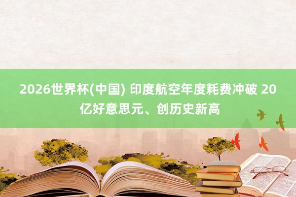 2026世界杯(中国) 印度航空年度耗费冲破 20 亿好意思元、创历史新高