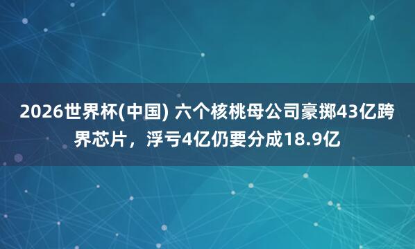 2026世界杯(中国) 六个核桃母公司豪掷43亿跨界芯片,浮亏4亿仍要分成18.9亿