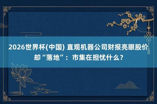 2026世界杯(中国) 直观机器公司财报亮眼股价却“落地”:市集在担忧什么?