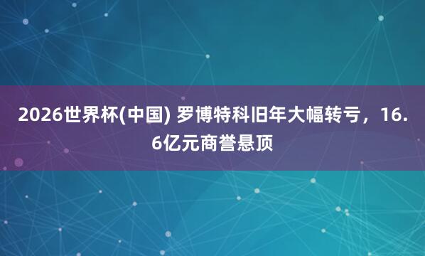 2026世界杯(中国) 罗博特科旧年大幅转亏,16.6亿元商誉悬顶