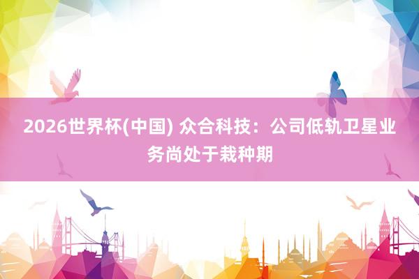 2026世界杯(中国) 众合科技:公司低轨卫星业务尚处于栽种期