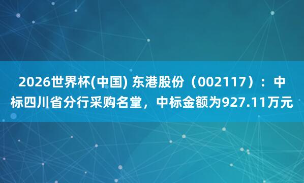 2026世界杯(中国) 东港股份(002117):中标四川省分行采购名堂,中标金额为927.11万元