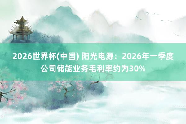 2026世界杯(中国) 阳光电源:2026年一季度公司储能业务毛利率约为30%