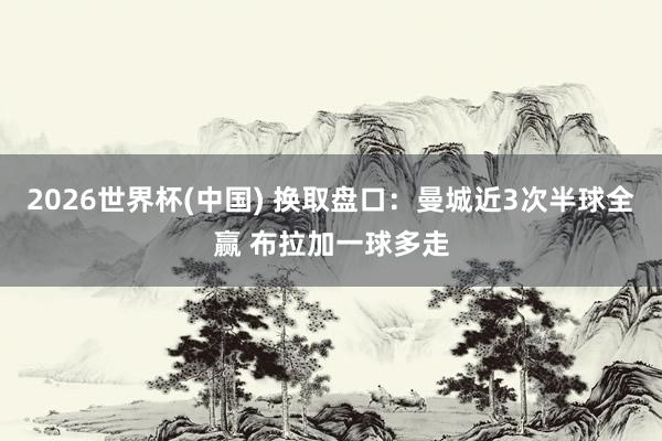 2026世界杯(中国) 换取盘口:曼城近3次半球全赢 布拉加一球多走