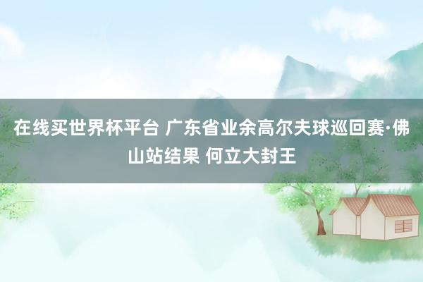 在线买世界杯平台 广东省业余高尔夫球巡回赛·佛山站结果 何立大封王