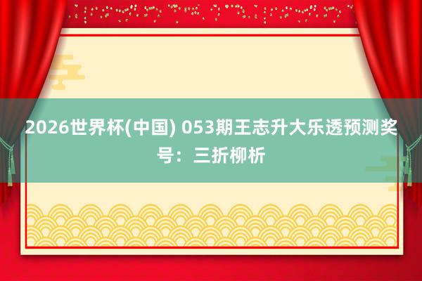 2026世界杯(中国) 053期王志升大乐透预测奖号:三折柳析