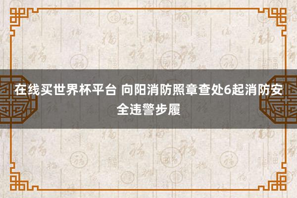 在线买世界杯平台 向阳消防照章查处6起消防安全违警步履