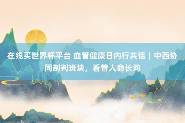 在线买世界杯平台 血管健康日内行共话|中西协同剖判斑块,看管人命长河