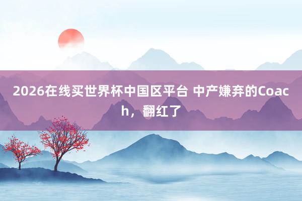 2026在线买世界杯中国区平台 中产嫌弃的Coach，翻红了