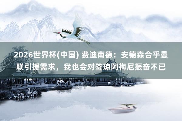 2026世界杯(中国) 费迪南德:安德森合乎曼联引援需求,我也会对签琼阿梅尼振奋不已