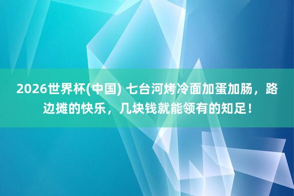 2026世界杯(中国) 七台河烤冷面加蛋加肠,路边摊的快乐,几块钱就能领有的知足!