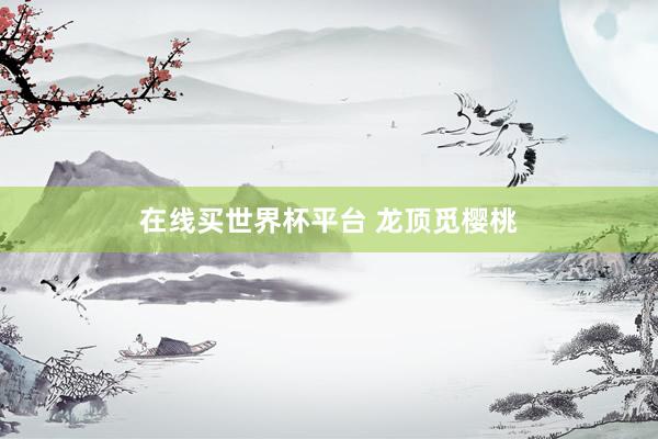 在线买世界杯平台 龙顶觅樱桃