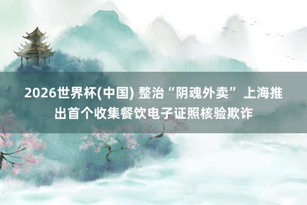 2026世界杯(中国) 整治“阴魂外卖” 上海推出首个收集餐饮电子证照核验欺诈