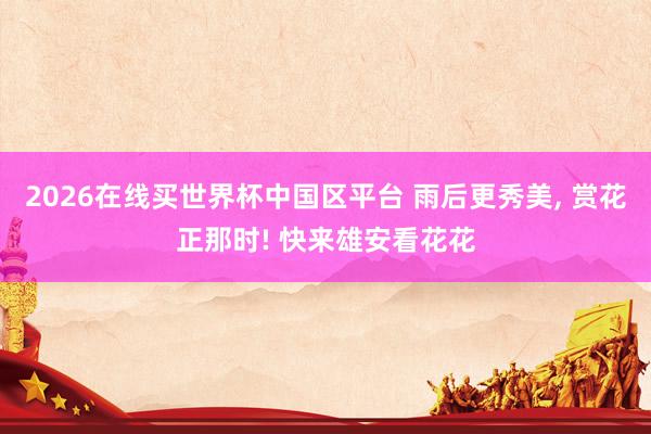 2026在线买世界杯中国区平台 雨后更秀美，<a href=
