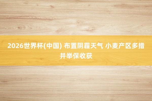 2026世界杯(中国) 布置阴霾天气 小麦产区多措并举保收获
