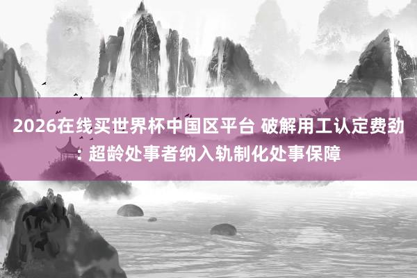 2026在线买世界杯中国区平台 破解用工认定费劲: 超龄处事者纳入轨制化处事保障