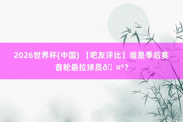 2026世界杯(中国) 【吧友评比】谁是季后赛首轮最拉球员🤮?