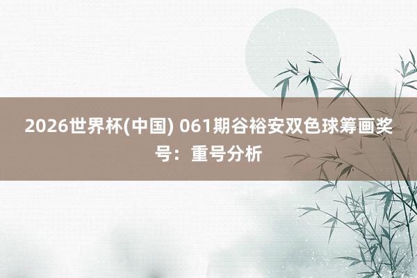 2026世界杯(中国) 061期谷裕安双色球筹画奖号:重号分析