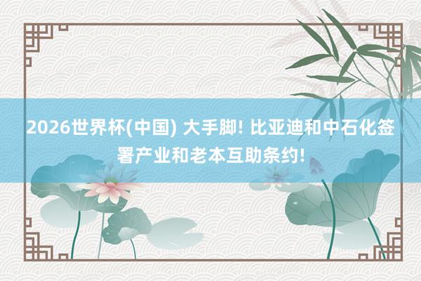 2026世界杯(中国) 大手脚! 比亚迪和中石化签署产业和老本互助条约!