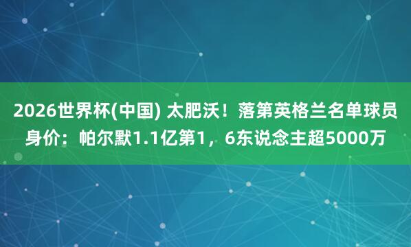 2026世界杯(中国) 太肥沃！落第英格兰名单球员身价：帕尔默1.1亿第1，6东说念主超5000万