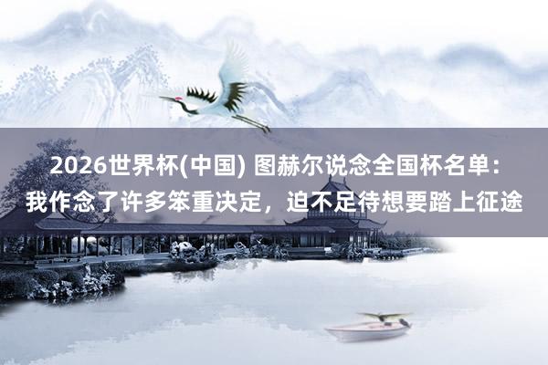 2026世界杯(中国) 图赫尔说念全国杯名单:我作念了许多笨重决定,迫不足待想要踏上征途