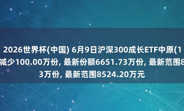 2026世界杯(中国) 6月9日沪深300成长ETF中原(159523)份额减少100.00万份, 最新份额6651.73万份, 最新范围8524.20万元
