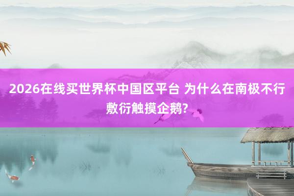 2026在线买世界杯中国区平台 为什么在南极不行敷衍触摸企鹅?