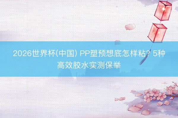 2026世界杯(中国) PP塑预想底怎样粘? 5种高效胶水实测保举