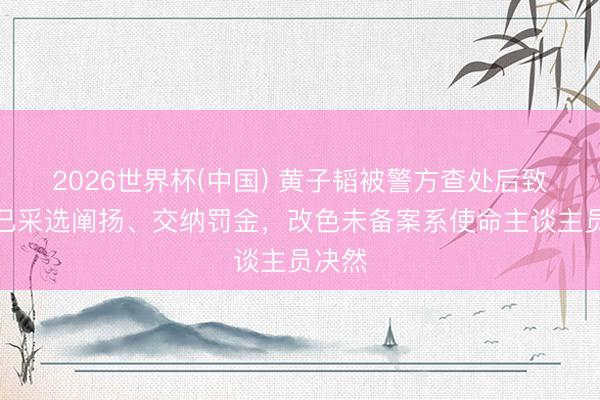 2026世界杯(中国) 黄子韬被警方查处后致歉:已采选阐扬、交纳罚金,改色未备案系使命主谈主员决然