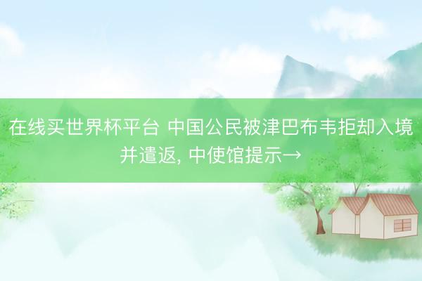 在线买世界杯平台 中国公民被津巴布韦拒却入境并遣返, 中使馆提示→